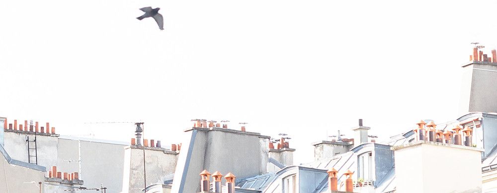 Tout ce qu'on peut faire sur un toit à Paris