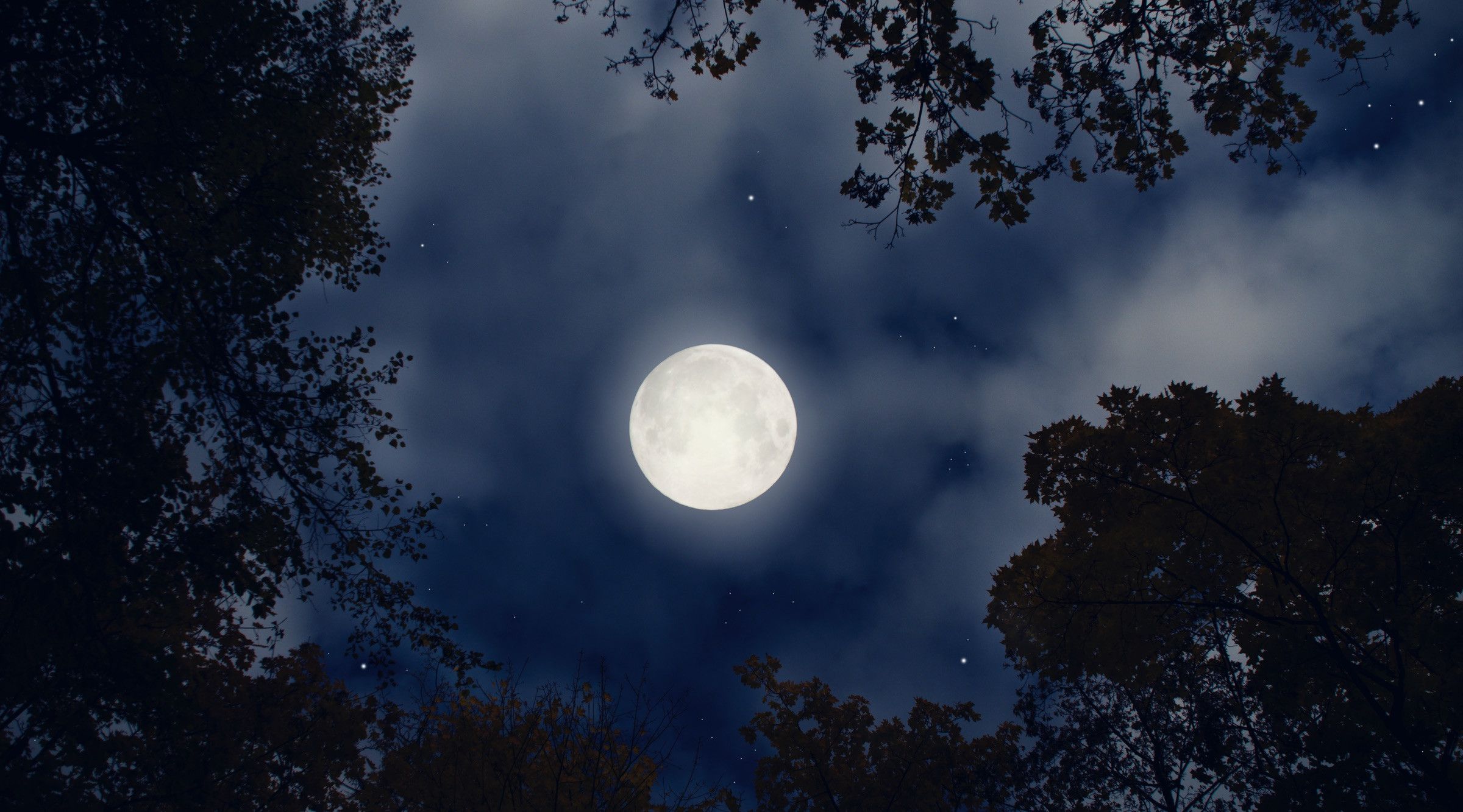 Passer la nuit dans une volière