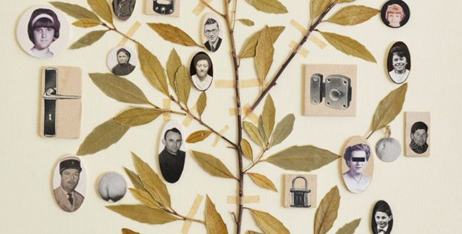 Les livres qui traversent les générations