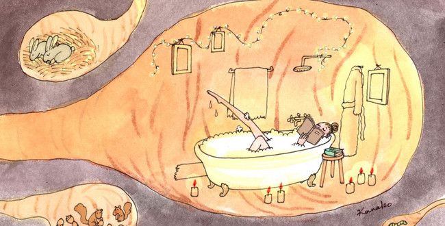 Les livres de votre hibernation