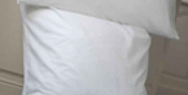 Le coussin litteraire