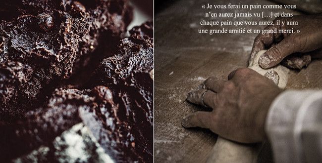 Le livre tout moelleux