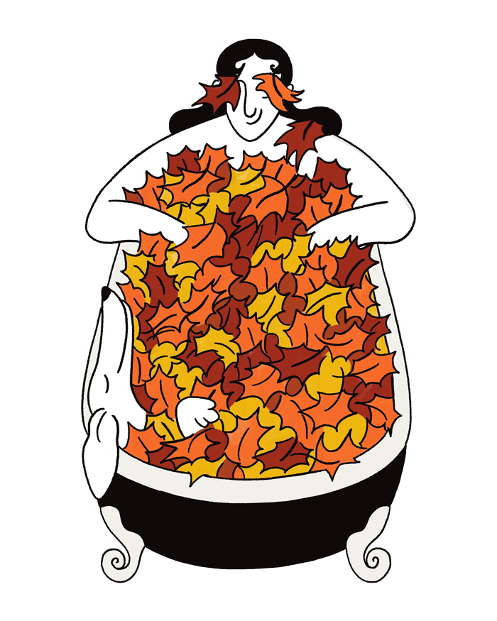 Et c'est parti pour l'automne