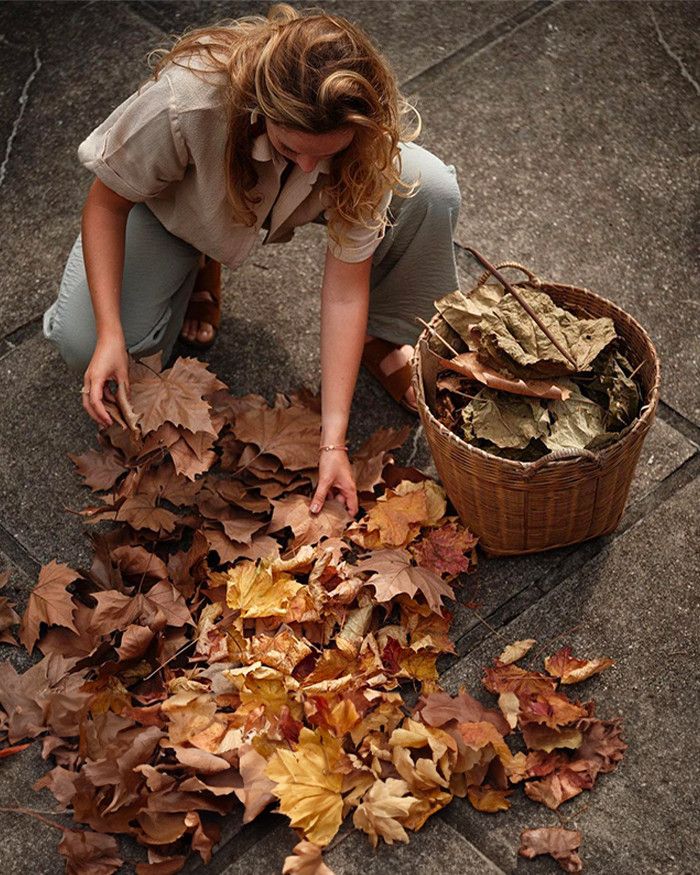 La chasseuse de feuilles