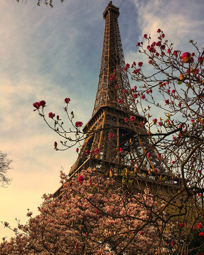 Les 6 kifs du printemps