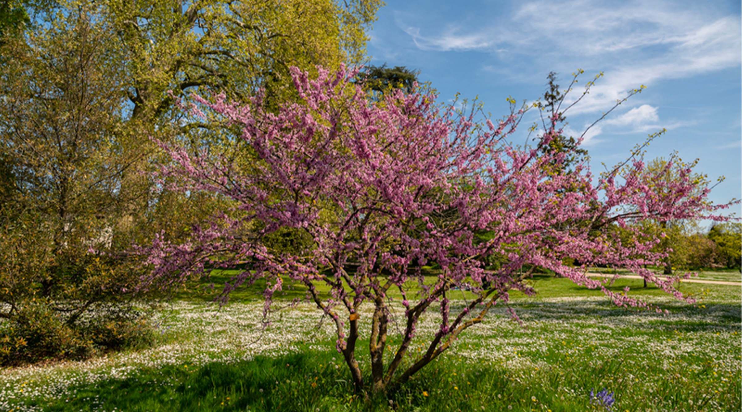 Les jardin-connus