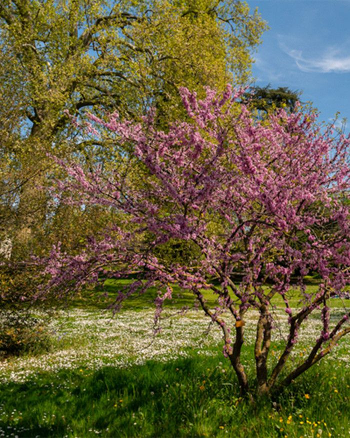 Les jardin-connus