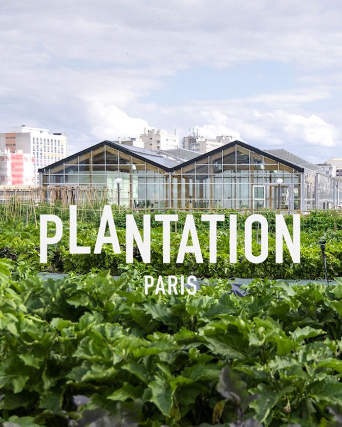 Le nouveau (et le plus grand) rooftop de Paris