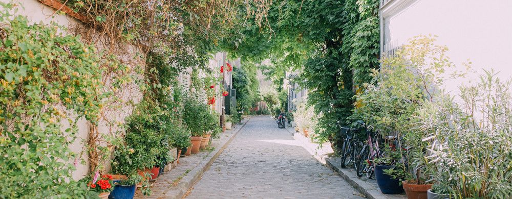 La campagne à Paris