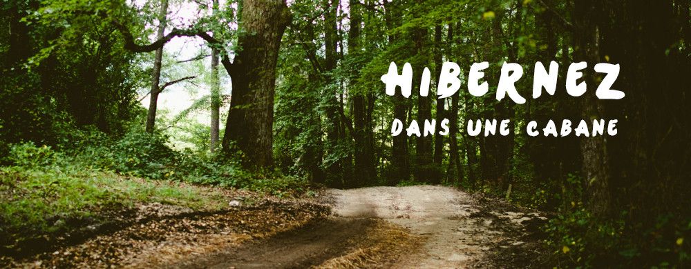 Hibernez dans une cabane