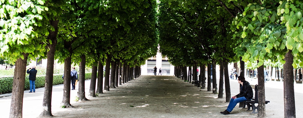 Les confidences du Palais Royal