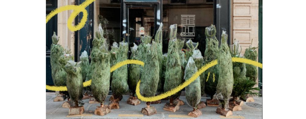 Un pain et un sapin s'il vous plait !