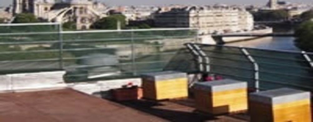 Le miel des toits de Paris