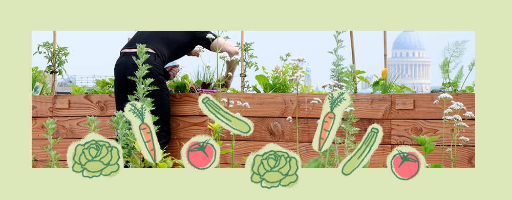 Des potagers dans le ciel