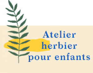 Herbiers pour enfants